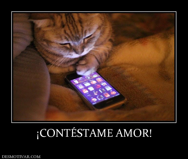 ¡CONTÉSTAME AMOR!