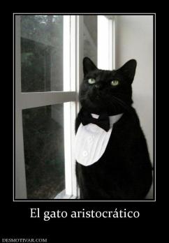 El gato aristocrático