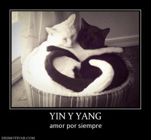 YIN Y YANG amor por siempre