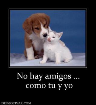 No hay amigos ...  como tu y yo