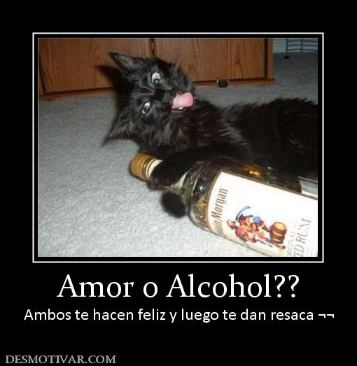 Amor o Alcohol?? Ambos te hacen feliz y luego te dan resaca ¬¬