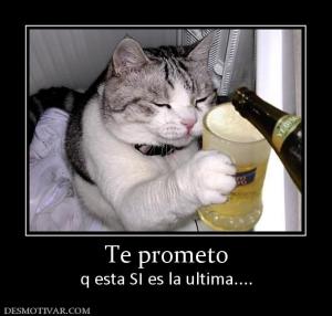 Te prometo q esta SI es la ultima....