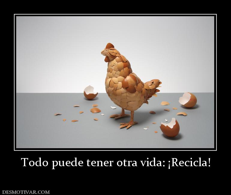 Todo puede tener otra vida: ¡Recicla!