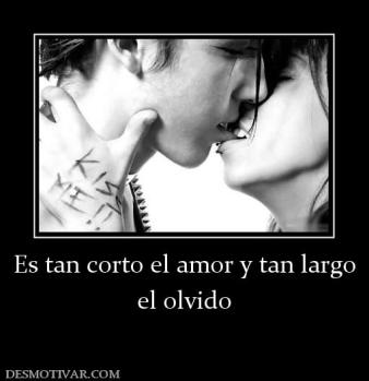 Es tan corto el amor y tan largo el olvido
