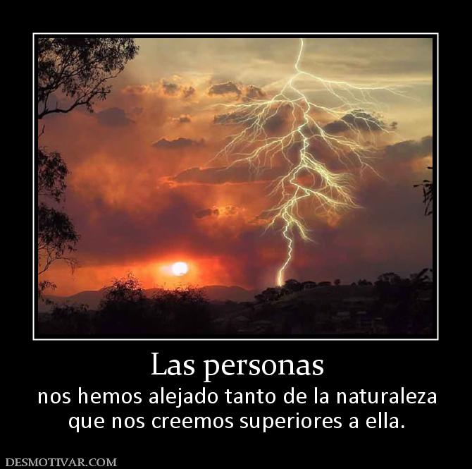 Las personas nos hemos alejado tanto de la naturaleza que nos creemos superiores a ella.