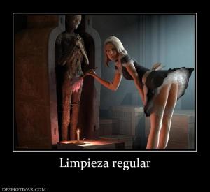 Limpieza regular