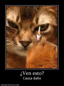¿Ven esto? Causa daño