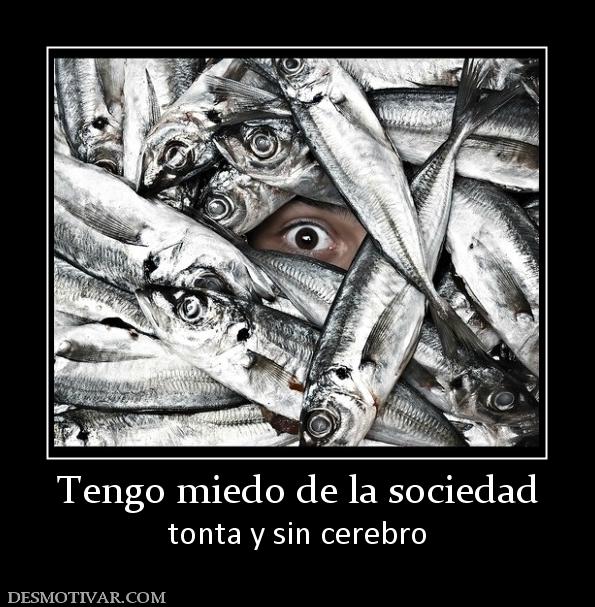 Tengo miedo de la sociedad tonta y sin cerebro
