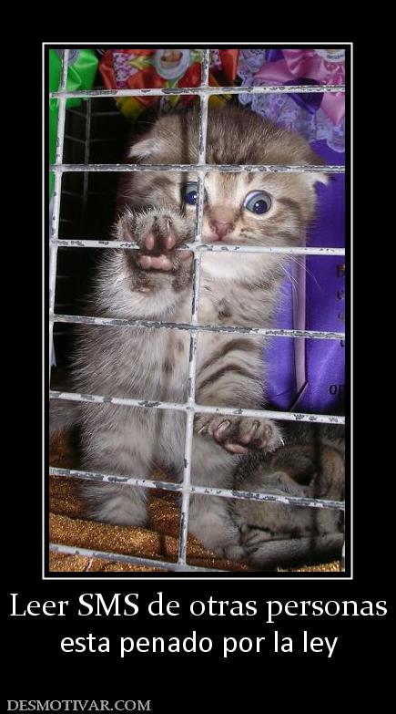 Leer SMS de otras personas esta penado por la ley