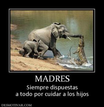 MADRES Siempre dispuestas a todo por cuidar a los hijos