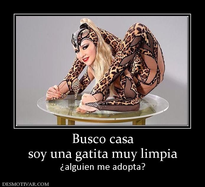 Busco casa soy una gatita muy limpia ¿alguien me adopta?