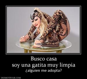 Busco casa soy una gatita muy limpia ¿alguien me adopta?