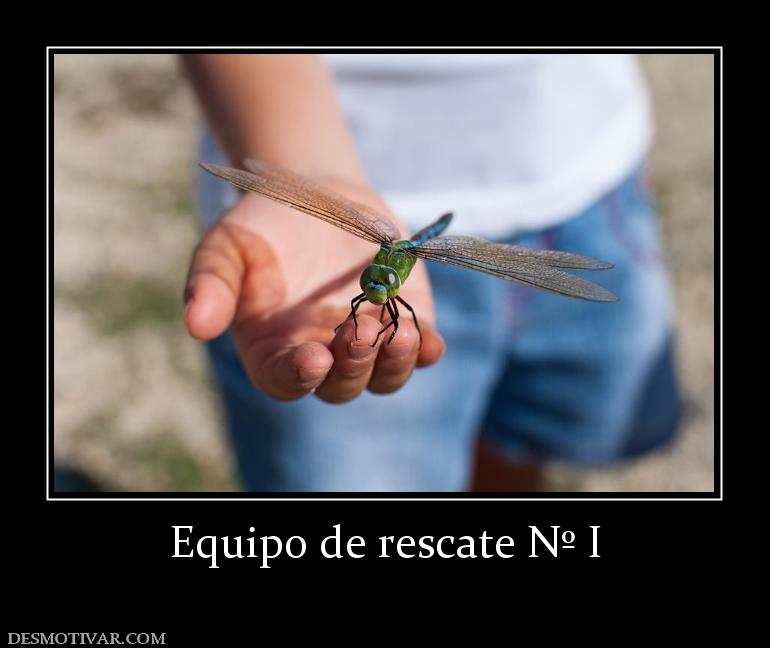Equipo de rescate Nº I