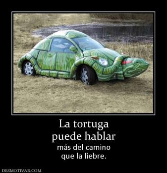 La tortuga puede hablar más del camino que la liebre.