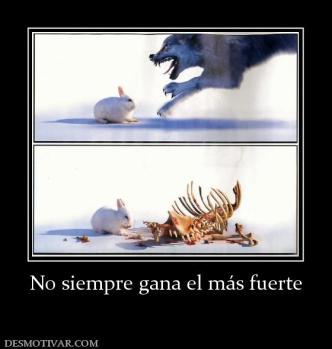 No siempre gana el más fuerte