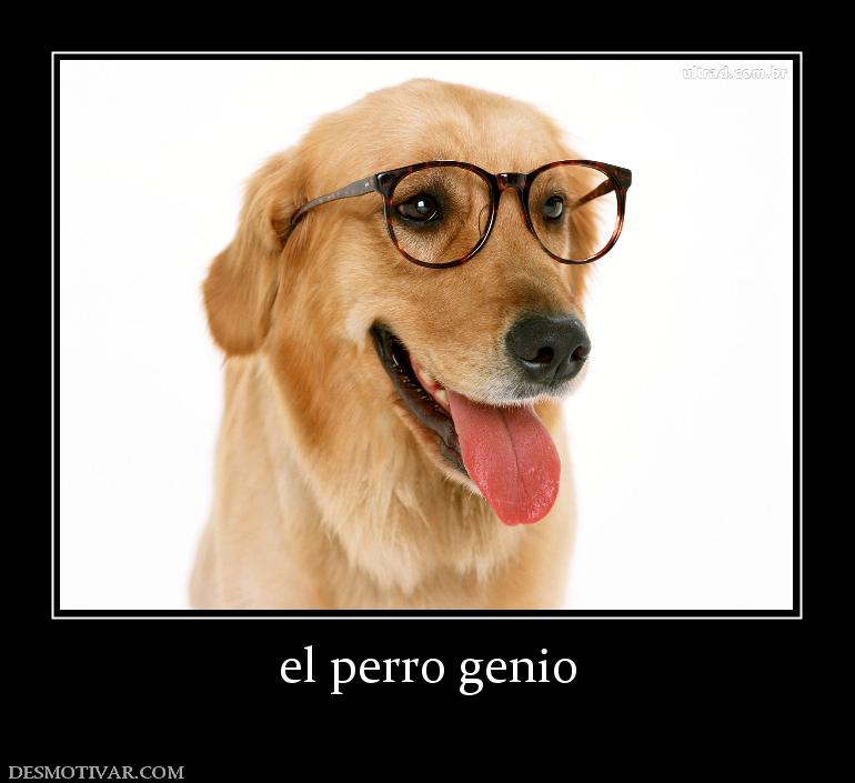 el perro genio