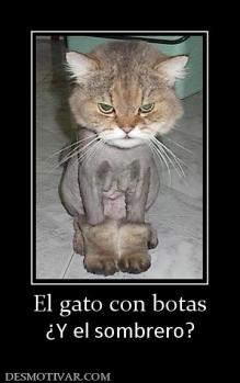 El gato con botas ¿Y el sombrero?
