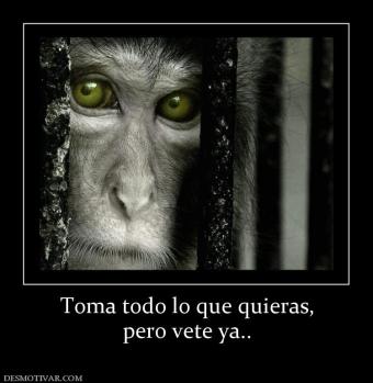 Toma todo lo que quieras, pero vete ya..