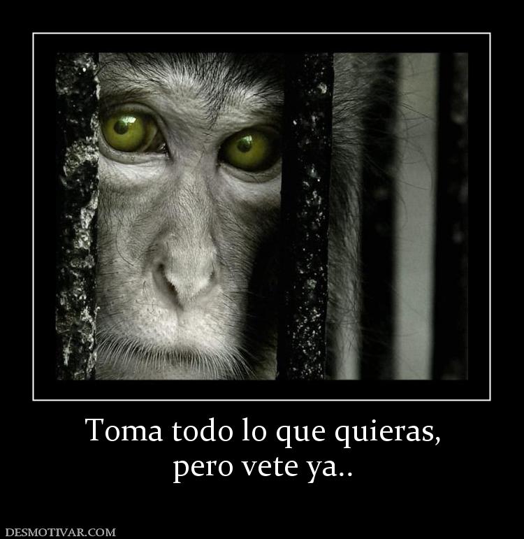 Toma todo lo que quieras, pero vete ya..