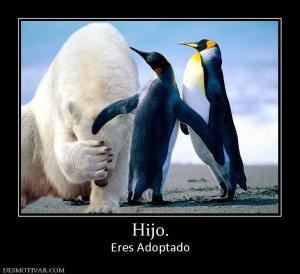 Hijo. Eres Adoptado