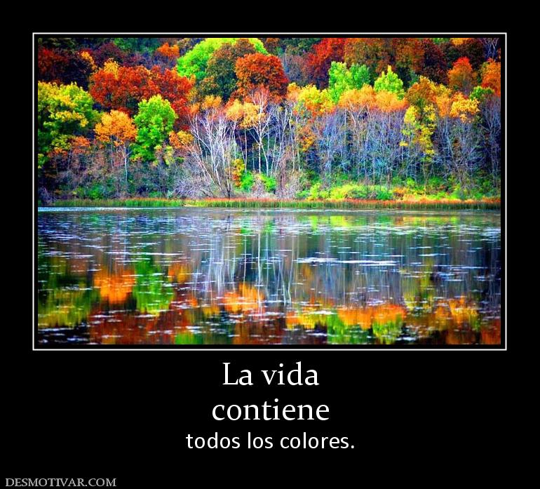 La vida contiene todos los colores.