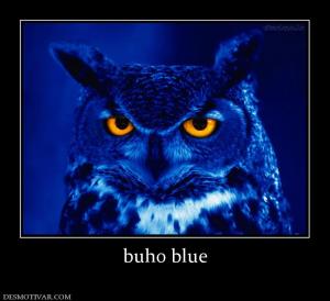 buho blue