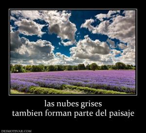 las nubes grises tambien forman parte del paisaje