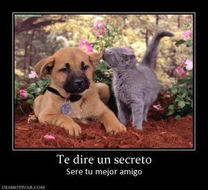 Te dire un secreto Sere tu mejor amigo