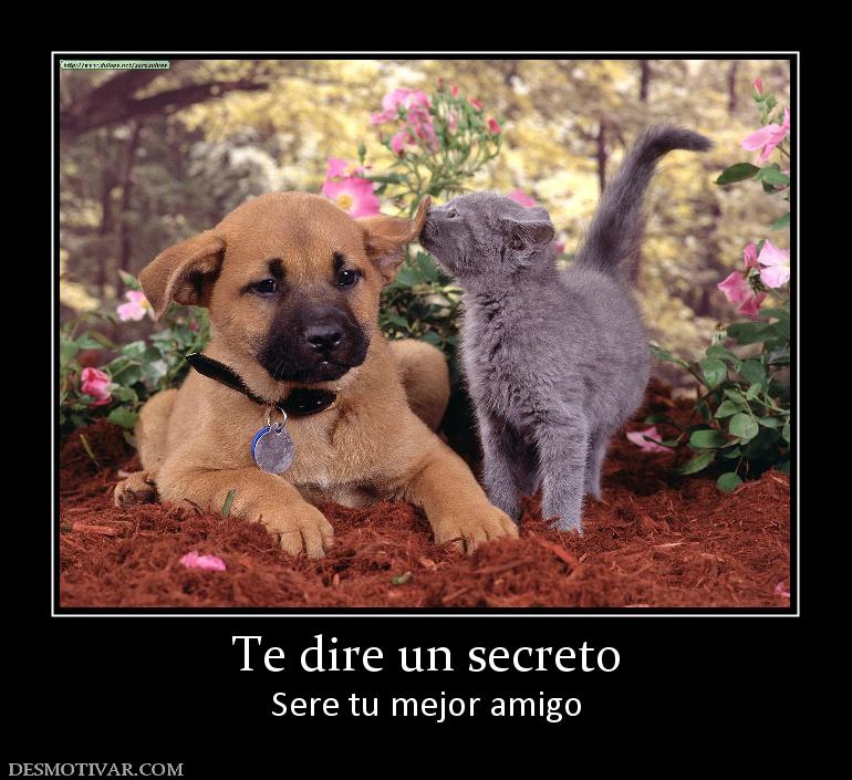 Te dire un secreto Sere tu mejor amigo