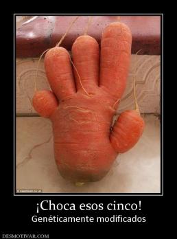 ¡Choca esos cinco! Genéticamente modificados