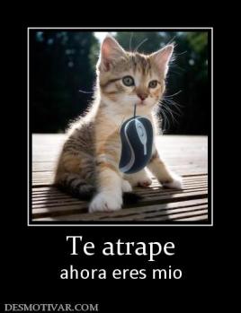 Te atrape ahora eres mio