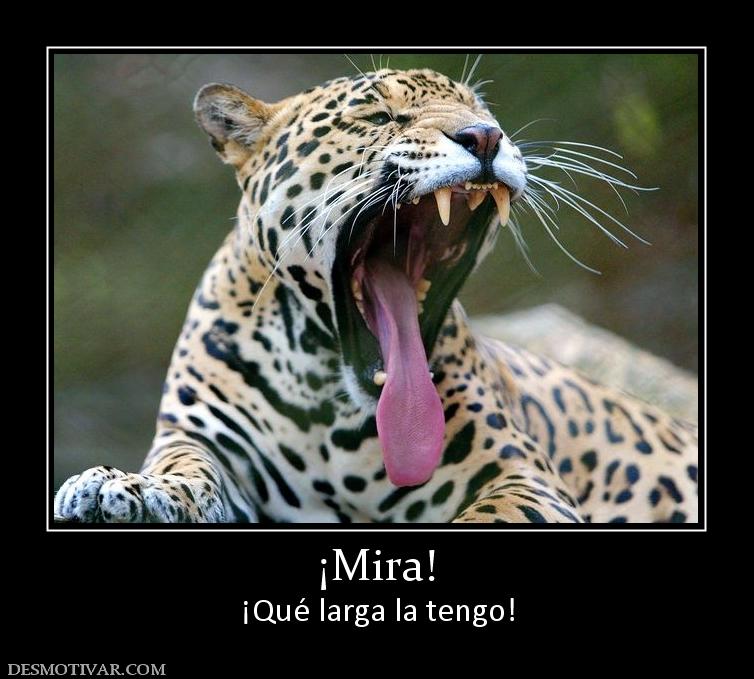 ¡Mira! ¡Qué larga la tengo!