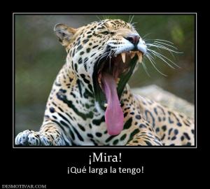 ¡Mira! ¡Qué larga la tengo!