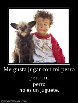 Me gusta jugar con mi perro pero mi  perro no es un juguete.
