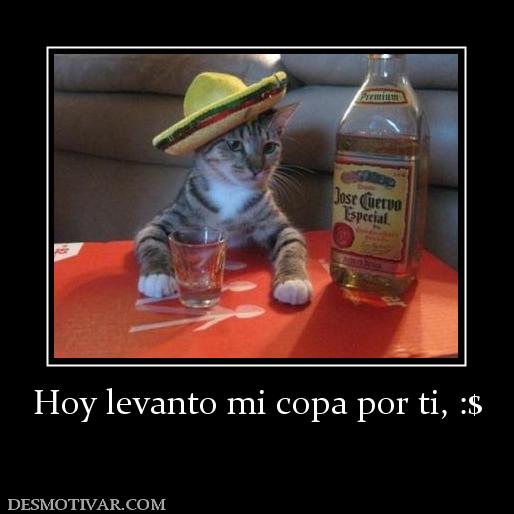 Hoy levanto mi copa por ti, :$
