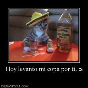Hoy levanto mi copa por ti, :$