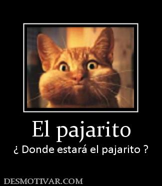 El pajarito ¿ Donde estará el pajarito ?