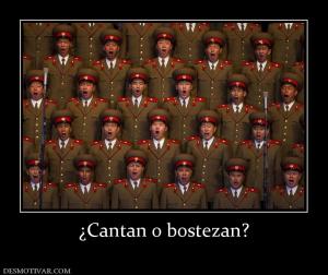 ¿Cantan o bostezan?