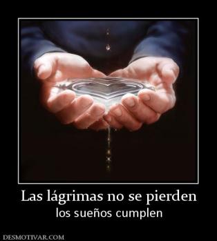 Las lágrimas no se pierden los sueños cumplen