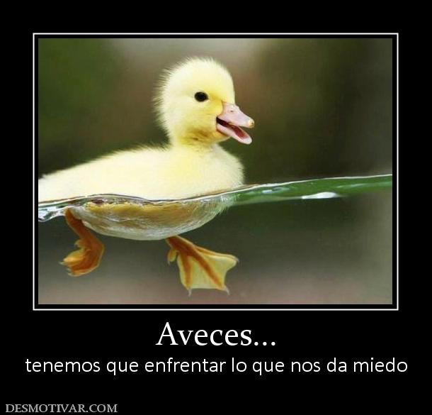 Aveces... tenemos que enfrentar lo que nos da miedo