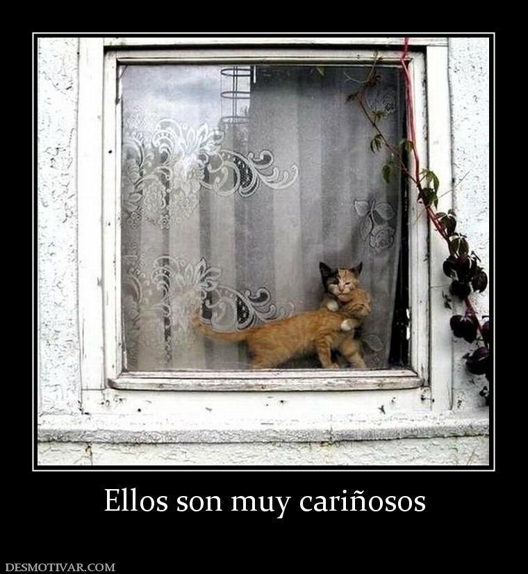 Ellos son muy cariñosos