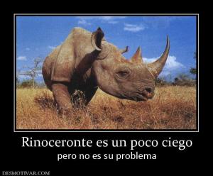 Rinoceronte es un poco ciego pero no es su problema