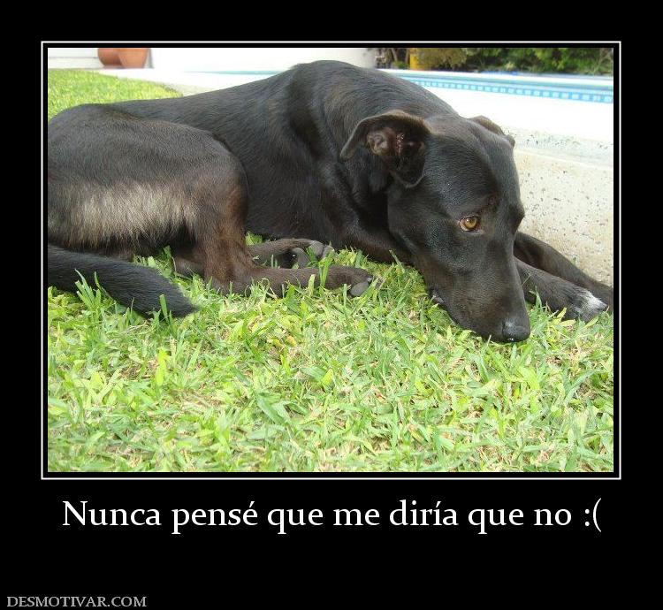 Nunca pensé que me diría que no :(