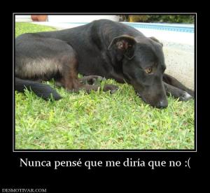 Nunca pensé que me diría que no :(