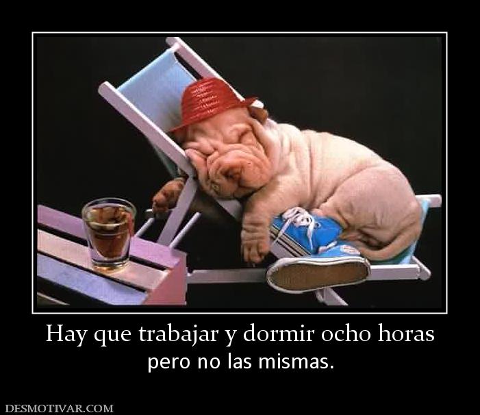 Hay que trabajar y dormir ocho horas pero no las mismas.