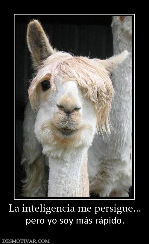 La inteligencia me persigue... pero yo soy más rápido.