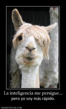 La inteligencia me persigue... pero yo soy más rápido.
