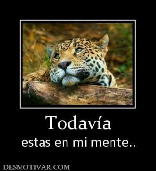Todavía estas en mi mente..