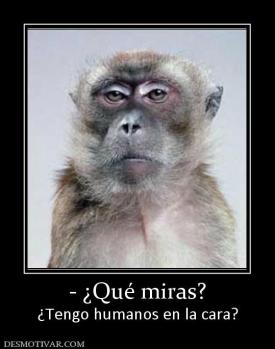 - ¿Qué miras? ¿Tengo humanos en la cara?