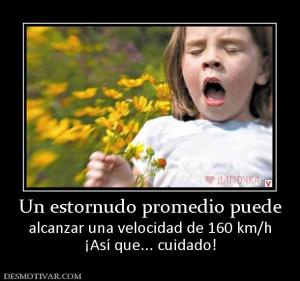 Un estornudo promedio puede alcanzar una velocidad de 160 km/h ¡Así que... cuidado!